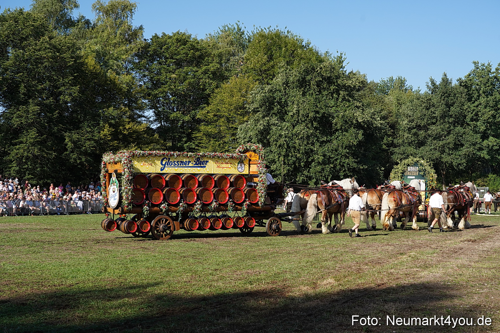 Pferde und Fohlenschau 2022 0058 